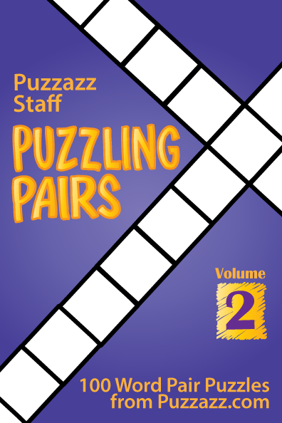 Puzzling Pairs #2
